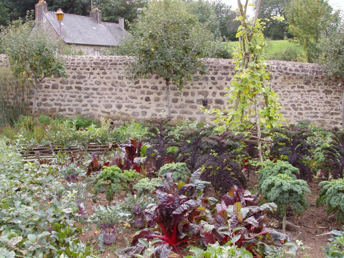 Chambres D'Hotes La Belle Taille Lassay-les-Chateaux Εξωτερικό φωτογραφία